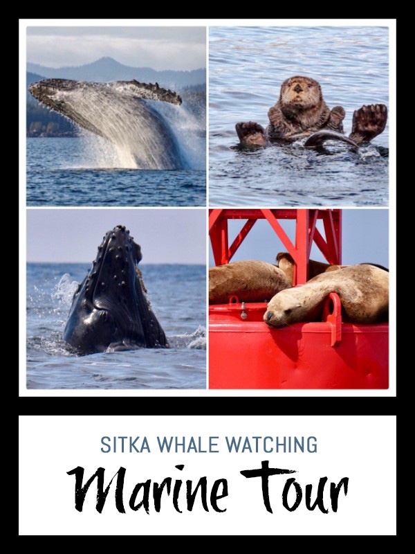 Sitka Whale Watching Marine Tour